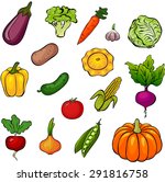 set of vegetables eggplant ... | Shutterstock . vector #291816758