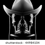 Real Skull With Hat