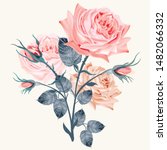 beautiful vector realistic rose ... | Shutterstock .eps vector #1482066332