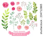 vector floral set. colorful... | Shutterstock .eps vector #234712885