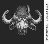 portrait of buffalo  bison ... | Shutterstock .eps vector #1701651115