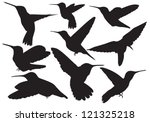 Vector Hummingbird Of Silhouette