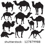 Vector Camel Silhouette