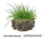 Green Grass  Soil And Grass...