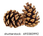 Two Brown Pine Cones On A White ...