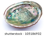 Abalone Shell Inside With...
