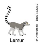 Lemur Monkey Vector...