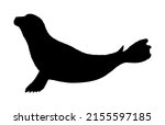 harbour seal vector silhouette... | Shutterstock .eps vector #2155597185