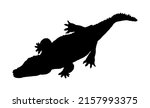 crocodile vector silhouette... | Shutterstock .eps vector #2157993375