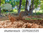 Small photo of Worker uses an excavator to uproot trees as part of preparation ground for construction