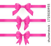 pink bows and ribbons isolated... | Shutterstock .eps vector #1725030955