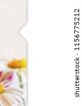Small photo of Floral Background lettercard