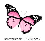 Pink Butterfly  Isolated On...