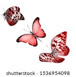 color butterflies   isolated on ... | Shutterstock . vector #1536954098