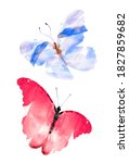 Two Watercolor Butterflies  ...