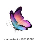 Color Butterfly  Isolated On...