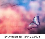 Color Butterfly Flying....