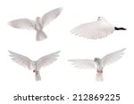 Free Flying White Dove Isolated ...