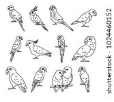 Collection Of Parrot Icons In...