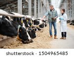 Mature head of large dairy farm with touchpad touching one of cows while consulting with veterinarian by cowshed