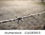 Barbed Wire At Winter Sunrise