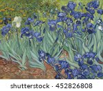 Irises  By Vincent Van Gogh ...