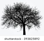 vector drawing of the big naked ... | Shutterstock .eps vector #393825892