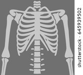 illustration chest x rays | Shutterstock .eps vector #645939502