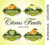 citrus fruits. orange  lemon ... | Shutterstock .eps vector #105130058