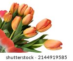 Bouquet Of Orange Tulips...