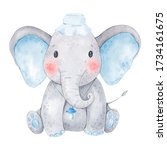 Cute Baby Elephant Watercolor...