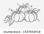 Hand Drawn Of Pumpkins On...