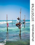 Small photo of WELIGAMA SRI LANKA - JAN 6, 2017: Unidentified local fishermen are fishing in unique style, sitting on sticks in Weligama on Jan 6, 2017. Sri Lanka. This type of fishing is traditional for Sri Lanka.