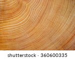 Wood Texture Of Cut Tree Trunk  ...