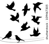 set of birds silhouettes  ... | Shutterstock .eps vector #109467305