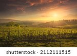 Montalcino Vineyards At Sunset...