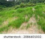 Permanent Slope Protection With ...
