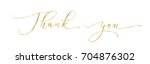 thank you words  hand written... | Shutterstock .eps vector #704876302