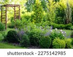 summer private Europe garden view with wooden archway, hostas, conifers and shrubs. Country living.
