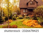 old rustic country house and autumn garden view. Bright hosta leaves, brown wooden lodge, natural style.