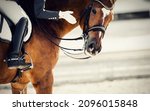 Small photo of Equestrian sport. Praise the horse. Portrait sports stallion in the bridle. The leg of the rider in the stirrup, riding on a red horse. Dressage of the bay horse in the arena. Horseback riding.