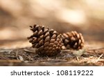 Two Pine Cones Fallen On The...