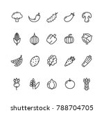 vegetables food black thin line ... | Shutterstock . vector #788704705