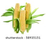 Corn Ear Close Up Heap Pile ...