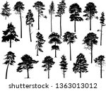 illustration with pine trees... | Shutterstock .eps vector #1363013012