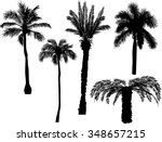 illustration with palm... | Shutterstock .eps vector #348657215