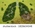 Forest in a shape of lungs - deforestation and global warming concept