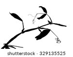 black silhouette of sweet pea... | Shutterstock .eps vector #329135525