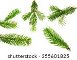 branches of fir tree isolated... | Shutterstock . vector #355601825