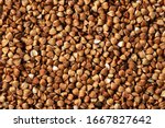 buckwheat. fresh buckwheat. dry buckwheat background. buckwheat texture